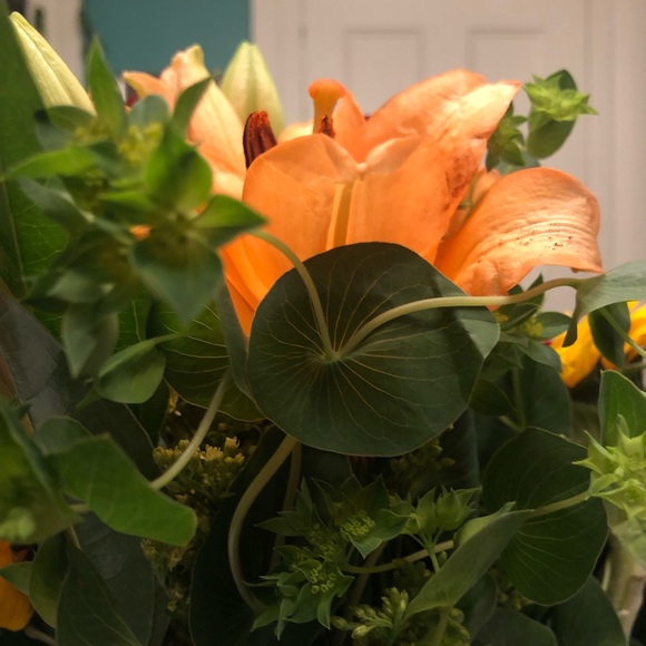 Meet your Posher, Eva - Picture 4 of 9